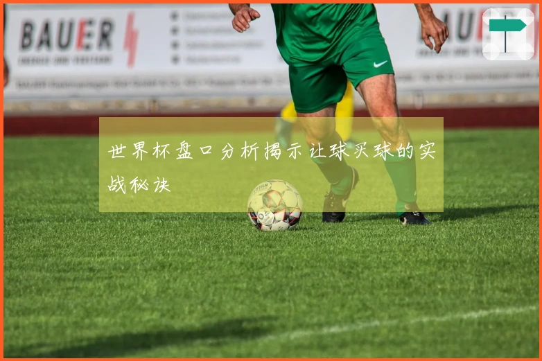世界杯盘口分析揭示让球买球的实战秘诀