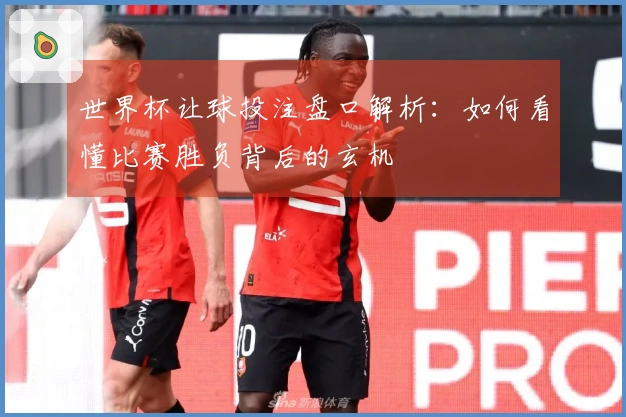 世界杯让球投注盘口解析：如何看懂比赛胜负背后的玄机