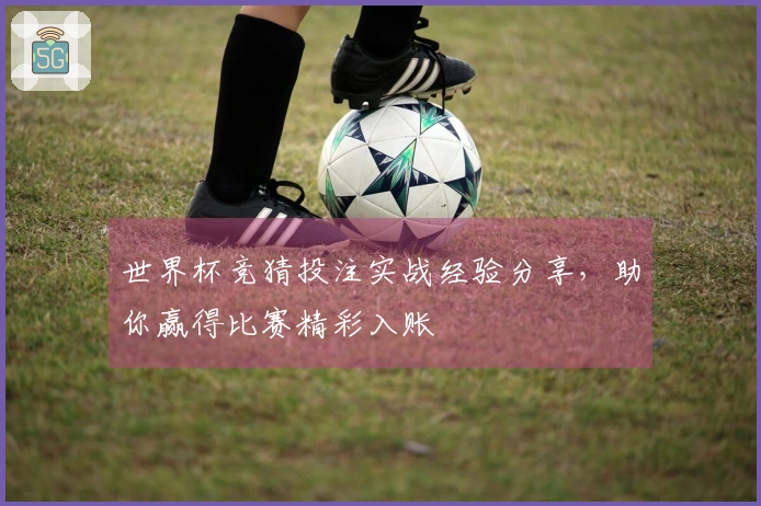 世界杯竞猜投注实战经验分享，助你赢得比赛精彩入账