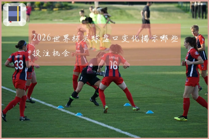 2026世界杯买球盘口变化揭示哪些投注机会