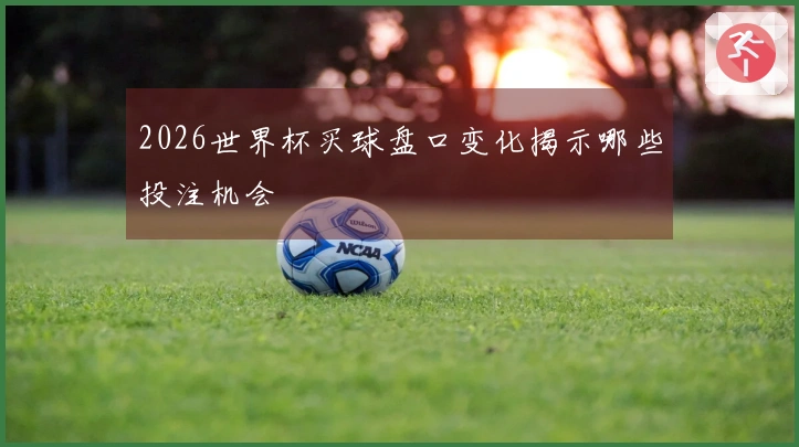 2026世界杯买球盘口变化揭示哪些投注机会