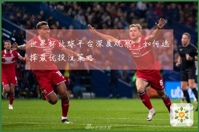 世界杯让球平台深度观察：如何选择最优投注策略