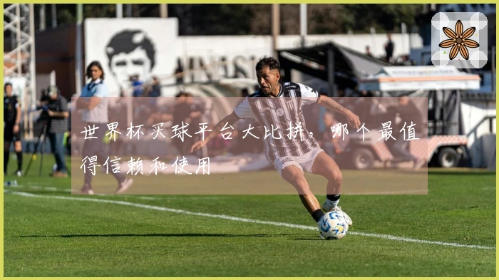 世界杯买球平台大比拼，哪个最值得信赖和使用